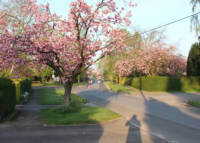 Casa vacanze Mistletoe *