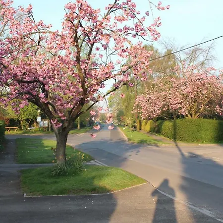 בית נופש Mistletoe *